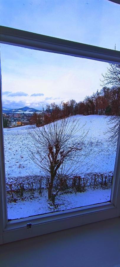 Johannes Schloessl - Gaestehaus Der Pallottiner Am Moenchsberg Homestay szállás *