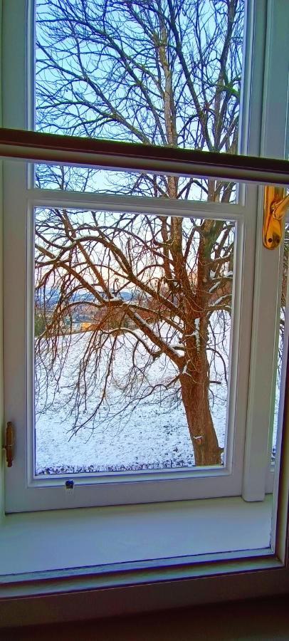 Homestay szállás Johannes Schloessl - Gaestehaus Der Pallottiner Am Moenchsberg *